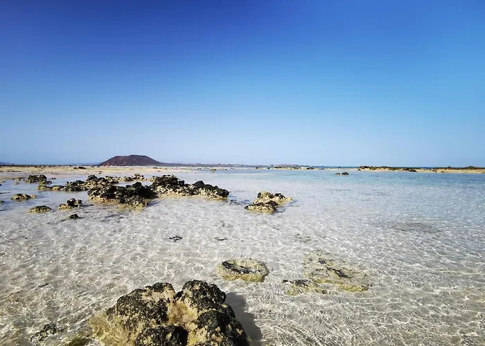 Apartment Duna Dorada *